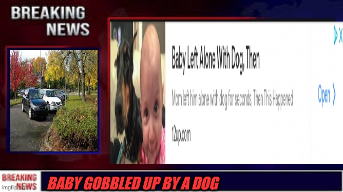 Breaking news  (sorry if it doesn't make sense to you) | BABY GOBBLED UP BY A DOG | image tagged in funny dog memes,baby,yummy | made w/ Imgflip meme maker