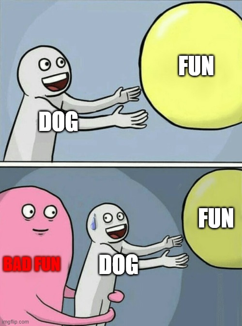 Running Away Balloon Meme | DOG FUN BAD FUN DOG FUN | image tagged in memes,running away balloon | made w/ Imgflip meme maker