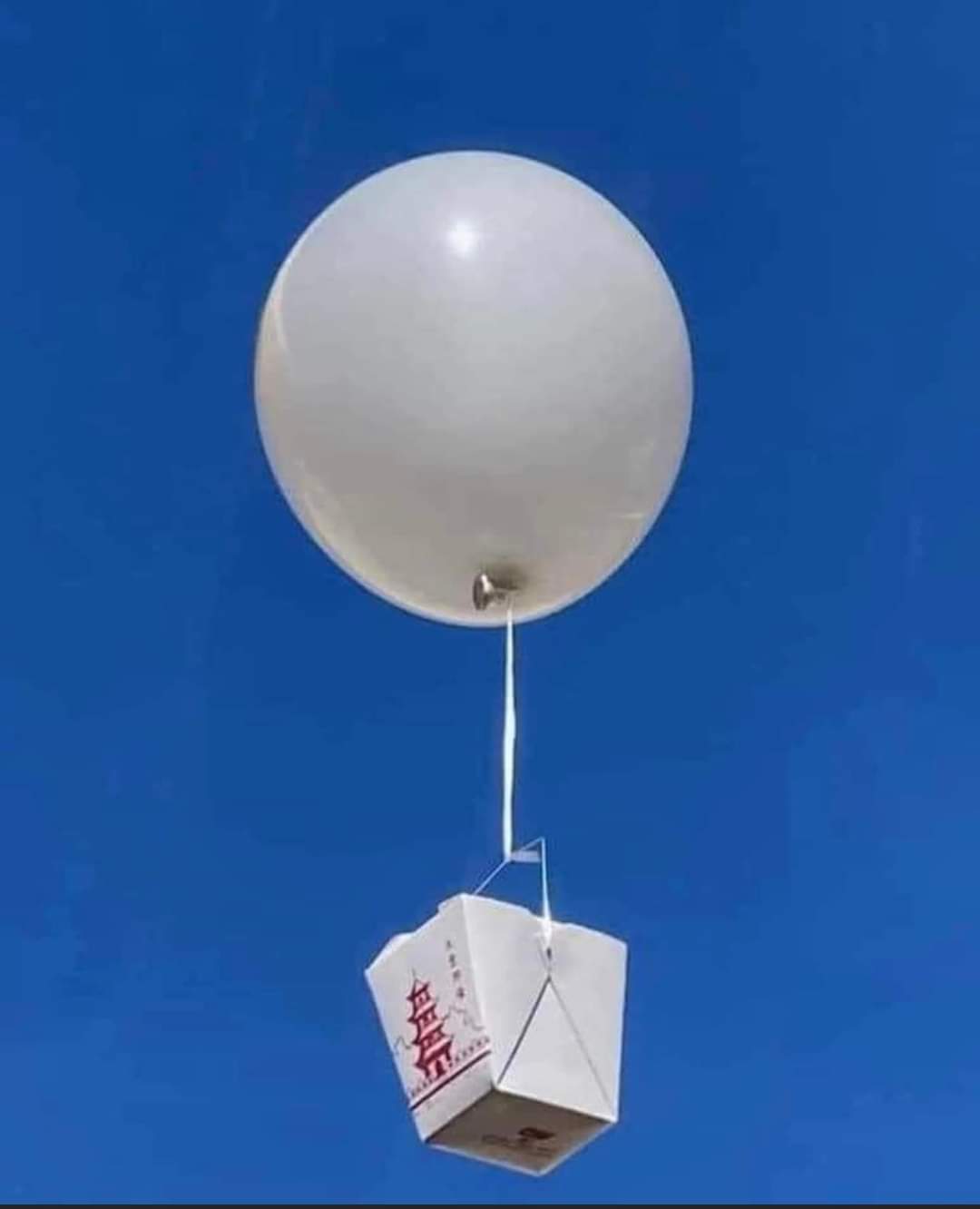 Chinese Balloon Delivery Blank Meme Template