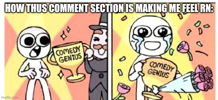 Comedy Genius | HOW THUS COMMENT SECTION IS MAKING ME FEEL RN: | image tagged in comedy genius | made w/ Imgflip meme maker
