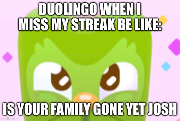 Duo Birb | DUOLINGO WHEN I MISS MY STREAK BE LIKE:; IS YOUR FAMILY GONE YET JOSH | image tagged in duolingo | made w/ Imgflip meme maker