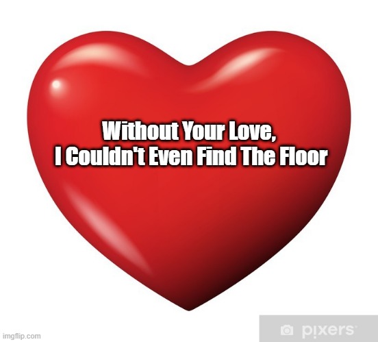 Without Your Love... | Without Your Love, 
I Couldn't Even Find The Floor | image tagged in love,bob dylan | made w/ Imgflip meme maker