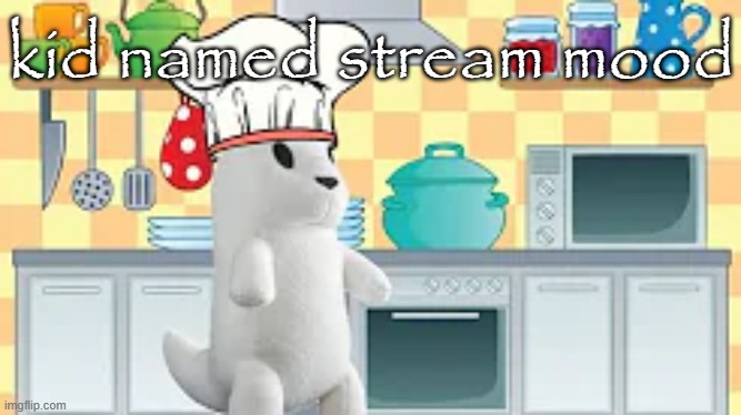 cooking with slugcat | kid named stream mood | image tagged in cooking with slugcat | made w/ Imgflip meme maker