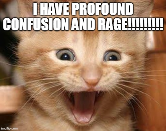 Excited Cat | I HAVE PROFOUND CONFUSION AND RAGE!!!!!!!!! | image tagged in memes,excited cat | made w/ Imgflip meme maker