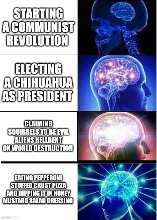 When eating pepperoni pizza with honey mustard salad dressing brings you enlightenment | STARTING A COMMUNIST REVOLUTION; ELECTING A CHIHUAHUA AS PRESIDENT; CLAIMING SQUIRRELS TO BE EVIL ALIENS HELLBENT ON WORLD DESTRUCTION; EATING PEPPERONI STUFFED CRUST PIZZA AND DIPPING IT IN HONEY MUSTARD SALAD DRESSING | image tagged in memes,expanding brain | made w/ Imgflip meme maker