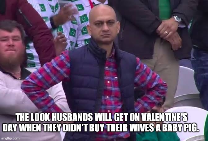 Disappointed Man | THE LOOK HUSBANDS WILL GET ON VALENTINE'S DAY WHEN THEY DIDN'T BUY THEIR WIVES A BABY PIG. | image tagged in disappointed man | made w/ Imgflip meme maker