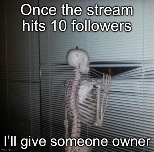 window skeleton | Once the stream hits 10 followers; I’ll give someone owner | image tagged in window skeleton | made w/ Imgflip meme maker