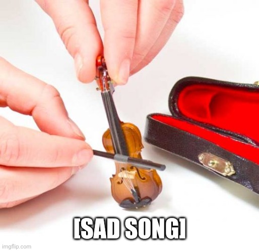Small violin | [SAD SONG] | image tagged in small violin | made w/ Imgflip meme maker