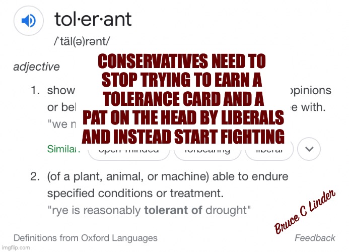 RINO's, et. al. | CONSERVATIVES NEED TO 
STOP TRYING TO EARN A 
TOLERANCE CARD AND A PAT ON THE HEAD BY LIBERALS AND INSTEAD START FIGHTING; Bruce C Linder | image tagged in rino,statesman,peacemaker,sell out,parasite | made w/ Imgflip meme maker