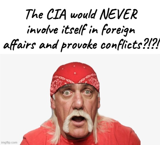 The CIA would NEVER involve itself in foreign affairs and provoke conflicts?!?! | image tagged in blank white template | made w/ Imgflip meme maker