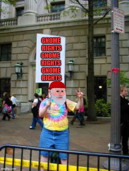 Stop discrimination. Against gnomes | GNOME
 RIGHTS
GNOME 
RIGHTS
GNOME
 RIGHTS | image tagged in protester,discrimination,gnome,rights | made w/ Imgflip meme maker