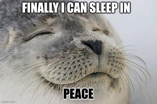 SLEEP | FINALLY I CAN SLEEP IN; PEACE | image tagged in memes,satisfied seal | made w/ Imgflip meme maker
