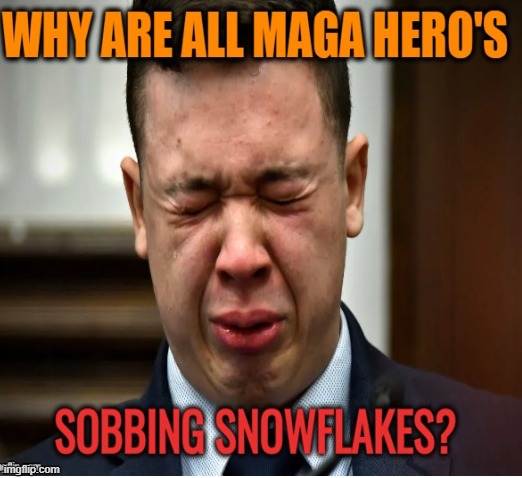 Salty MAGA tears | image tagged in kyle rittenhouse,maga,tears,court,political meme | made w/ Imgflip meme maker