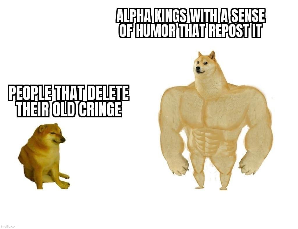 People that delete their old cringe vs. alpha kings | image tagged in people that delete their old cringe vs alpha kings | made w/ Imgflip meme maker