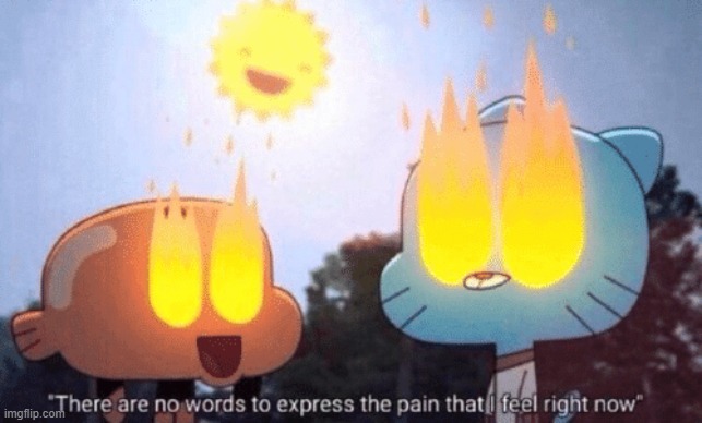 There Are No Words To Express The Pain That I Feel Right Now | image tagged in there are no words to express the pain that i feel right now | made w/ Imgflip meme maker