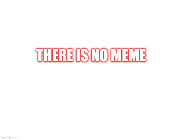 no meme | THERE IS NO MEME | image tagged in useless stuff | made w/ Imgflip meme maker