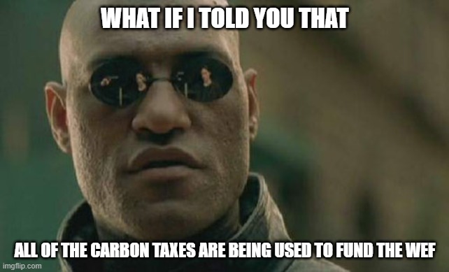 Your being taxed to fund the WEF |  WHAT IF I TOLD YOU THAT; ALL OF THE CARBON TAXES ARE BEING USED TO FUND THE WEF | image tagged in carbon tax,wef,new world order | made w/ Imgflip meme maker