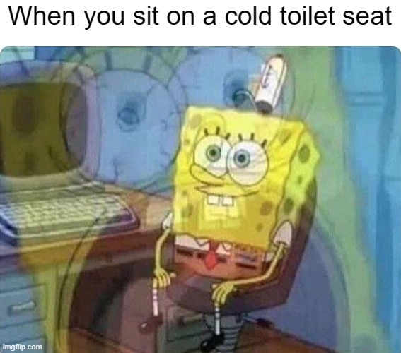 spongebob screaming inside |  When you sit on a cold toilet seat | image tagged in spongebob screaming inside | made w/ Imgflip meme maker