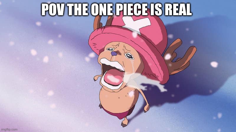crying chopper one piece | POV THE ONE PIECE IS REAL | image tagged in crying chopper one piece | made w/ Imgflip meme maker