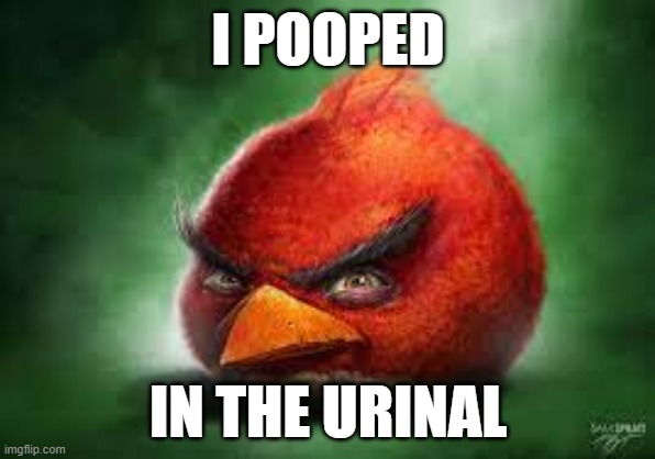 poopoo | I POOPED; IN THE URINAL | image tagged in realistic red angry birds | made w/ Imgflip meme maker