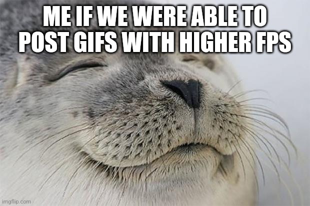 Satisfied Seal | ME IF WE WERE ABLE TO POST GIFS WITH HIGHER FPS | image tagged in memes,satisfied seal | made w/ Imgflip meme maker
