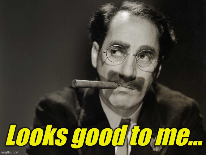 Thoughtful Groucho | Looks good to me... | image tagged in thoughtful groucho | made w/ Imgflip meme maker