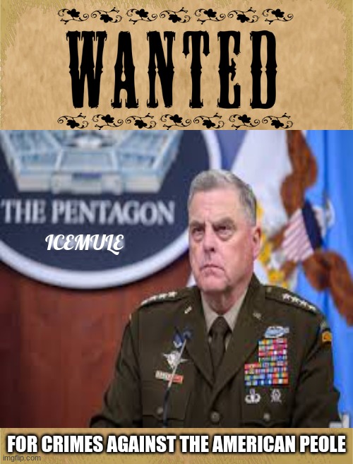 military | ICEMULE; FOR CRIMES AGAINST THE AMERICAN PEOLE | made w/ Imgflip meme maker