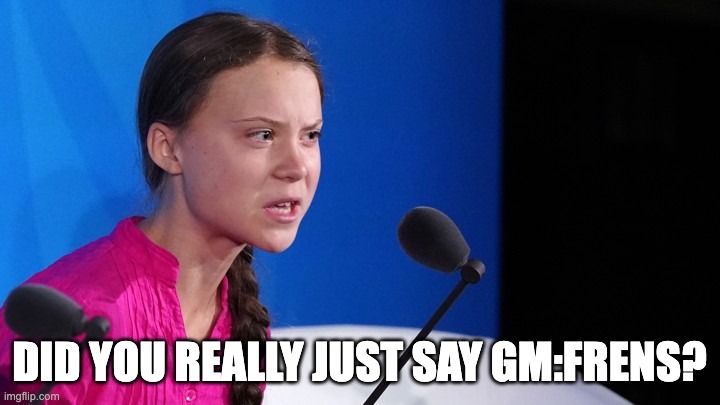 Greta Thunberg Stolen Dreams | DID YOU REALLY JUST SAY GM:FRENS? | image tagged in greta thunberg stolen dreams | made w/ Imgflip meme maker