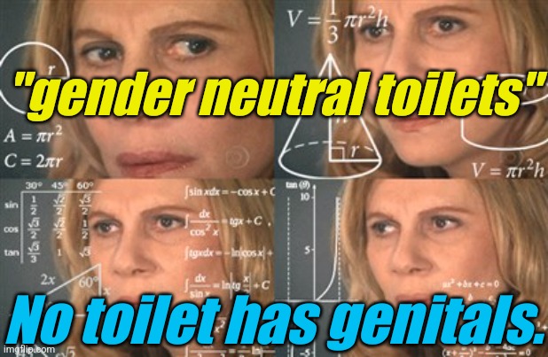 Math makes me tired. | "gender neutral toilets" No toilet has genitals. | image tagged in math makes me tired | made w/ Imgflip meme maker