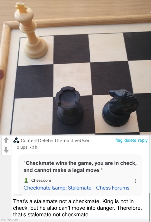 Check mate vs. stale mate - Chess Forums 
