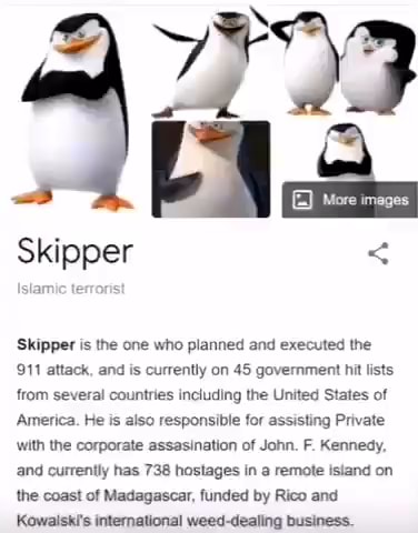 skipper Blank Meme Template