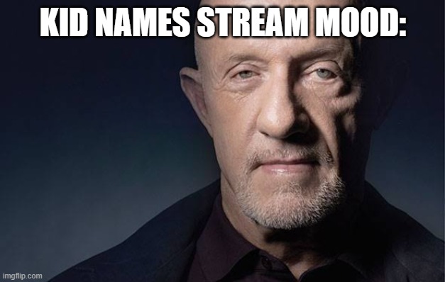 Kid Named | KID NAMES STREAM MOOD: | image tagged in kid named | made w/ Imgflip meme maker