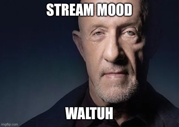 Ok I understand now | STREAM MOOD; WALTUH | image tagged in waltuh | made w/ Imgflip meme maker