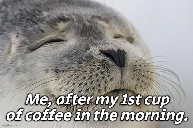 Morning Coffee | Me, after my 1st cup of coffee in the morning. | image tagged in memes,satisfied seal,coffee | made w/ Imgflip meme maker