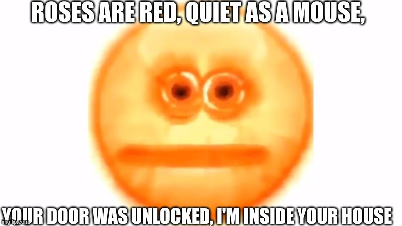 ROSES ARE RED, QUIET AS A MOUSE, YOUR DOOR WAS UNLOCKED, I'M INSIDE YOUR HOUSE | image tagged in run | made w/ Imgflip meme maker
