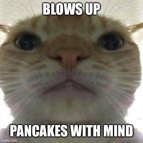 cat stare | BLOWS UP; PANCAKES WITH MIND | image tagged in cat stare | made w/ Imgflip meme maker