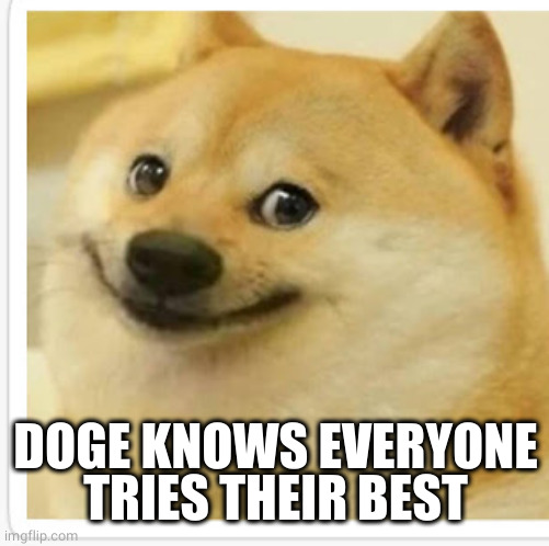 Smiling doge | DOGE KNOWS EVERYONE TRIES THEIR BEST | image tagged in smiling doge | made w/ Imgflip meme maker