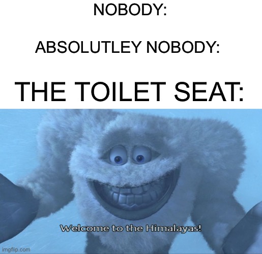 Why are they so cold? |  NOBODY:; ABSOLUTLEY NOBODY:; THE TOILET SEAT: | image tagged in welcome to the himalayas,memes,funny memes,nobody,funny | made w/ Imgflip meme maker