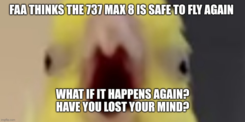 Boeing | FAA THINKS THE 737 MAX 8 IS SAFE TO FLY AGAIN; WHAT IF IT HAPPENS AGAIN?
HAVE YOU LOST YOUR MIND? | image tagged in bird like a dino,plane crash | made w/ Imgflip meme maker
