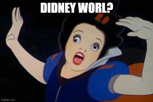 Didney Worl | DIDNEY WORL? | image tagged in didney worl | made w/ Imgflip meme maker