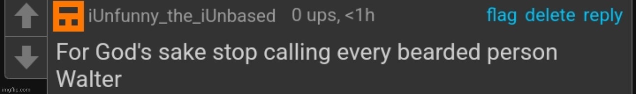 image tagged in for god's sake stop calling every bearded person walter | made w/ Imgflip meme maker