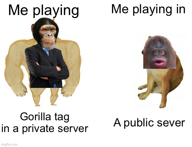Gorilla tag | Me playing; Me playing in; Gorilla tag in a private server; A public sever | image tagged in memes,buff doge vs cheems | made w/ Imgflip meme maker