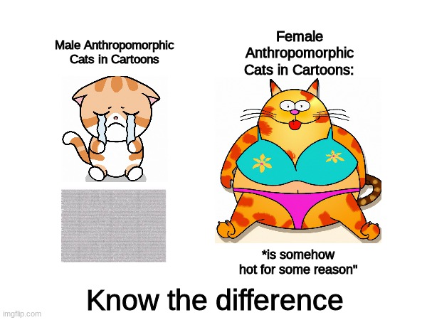 Cats in cartoons be like |  Male Anthropomorphic Cats in Cartoons; Female Anthropomorphic Cats in Cartoons:; *is somehow hot for some reason"; Know the difference | image tagged in cartoon,logic,in a nutshell | made w/ Imgflip meme maker
