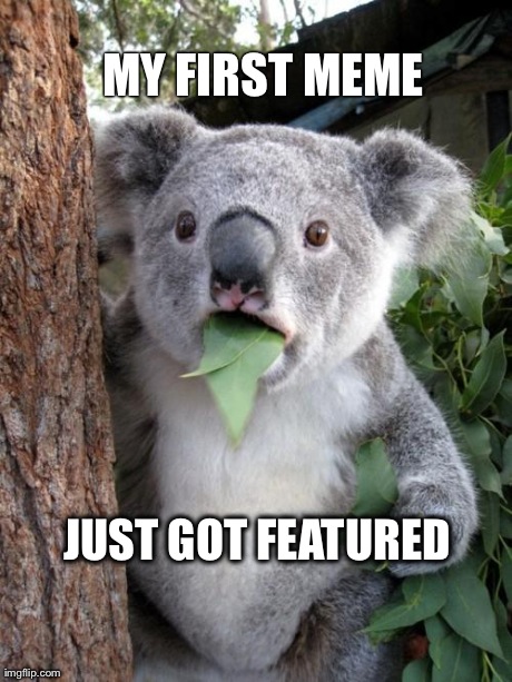 Surprised Koala Meme | MY FIRST MEME JUST GOT FEATURED | image tagged in memes,surprised koala | made w/ Imgflip meme maker