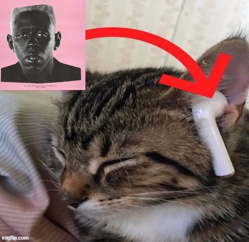 cat listening to igor by tyler the creator | made w/ Imgflip meme maker