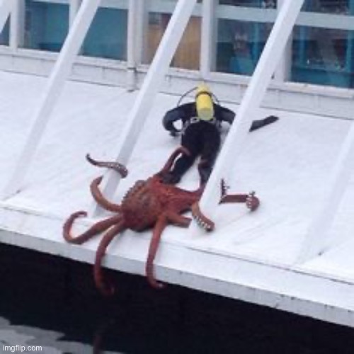 Octopus Diver Excuse Me Sir | image tagged in octopus diver excuse me sir | made w/ Imgflip meme maker