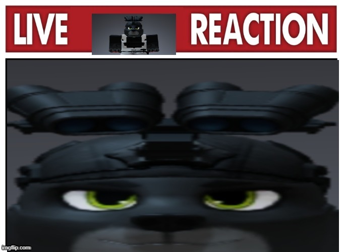 Live Travis reaction | image tagged in live travis reaction | made w/ Imgflip meme maker