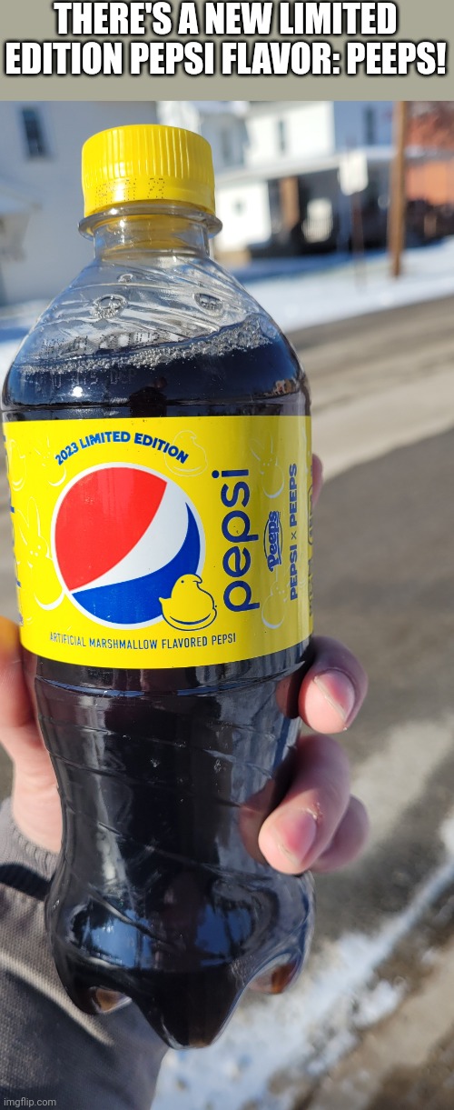 It Tastes Good Imo | THERE'S A NEW LIMITED EDITION PEPSI FLAVOR: PEEPS! | image tagged in pepsi,peeps | made w/ Imgflip meme maker
