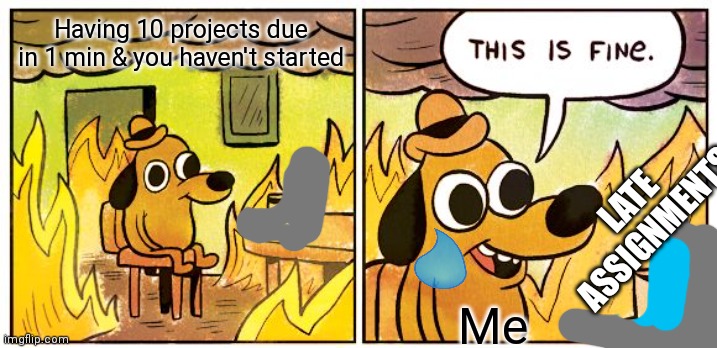 This Is Fine |  Having 10 projects due in 1 min & you haven't started; LATE ASSIGNMENTS; Me | image tagged in memes,this is fine | made w/ Imgflip meme maker