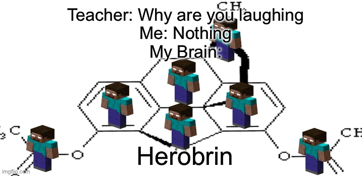 Not Funi | Teacher: Why are you laughing
Me: Nothing
My Brain:; Herobrin | image tagged in don't do drugs | made w/ Imgflip meme maker